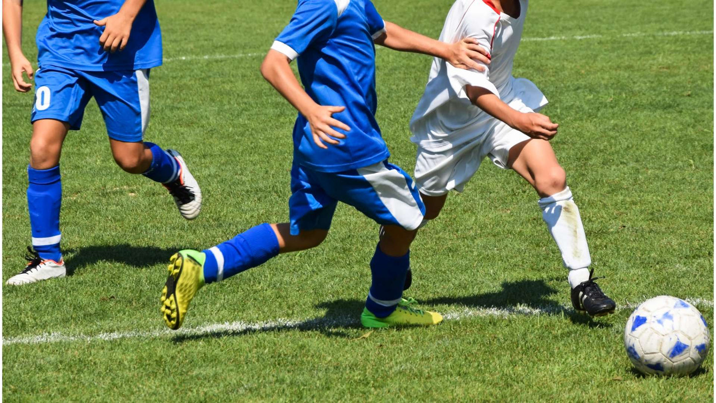 Fall 2023 Registration